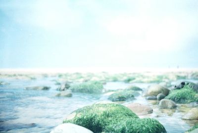 Rocks in sea against sky