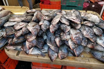 High angle view of fish for sale at market stall