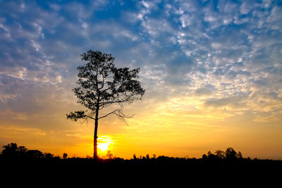 Silhouette trees on field against romantic sky at sunset