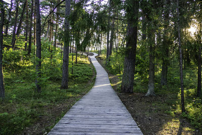 Wooden walkway through the forest to the beach