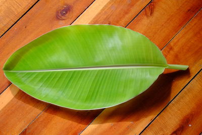 Banana leaf