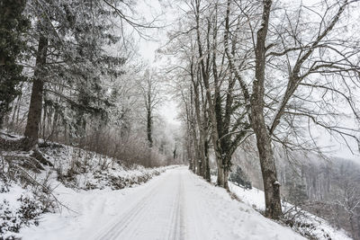 Snow covered road amidst trees in forest