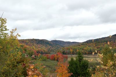 Scenic view of landscape against sky during autumn