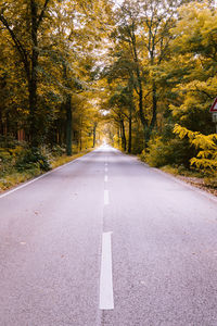 Road amidst trees during autumn