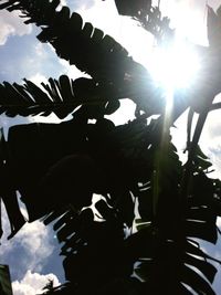 Low angle view of silhouette trees against sky