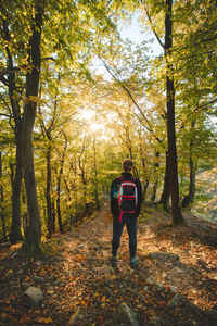 Young adventurer enjoys the last shreds of warm sunset light in deciduous forest tinged with autumn