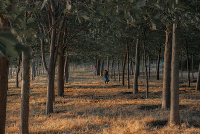 Friends on field in forest