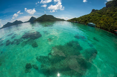 Scenic view of sea against blue sky