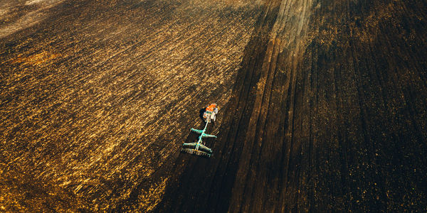 High angle view of man walking on road