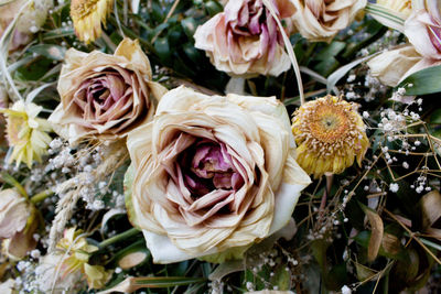 Close-up of wilted roses