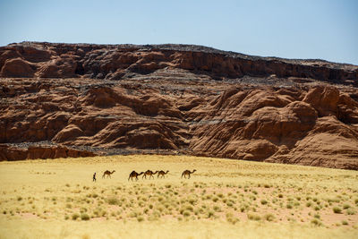 Scenic view of arid landscape against clear sky