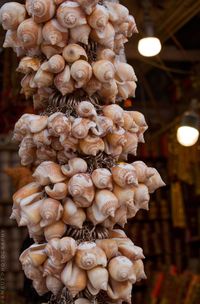 Close-up of decorated for sale at market stall