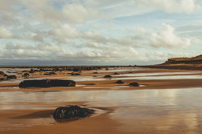 Scenic view of beach against sky