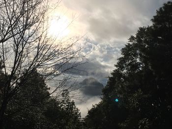 Low angle view of silhouette trees against sky