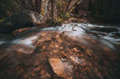 Stream flowing through rocks in forest