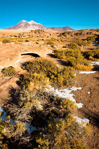 Landscape against clear blue sky