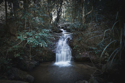 Waterfall in forest