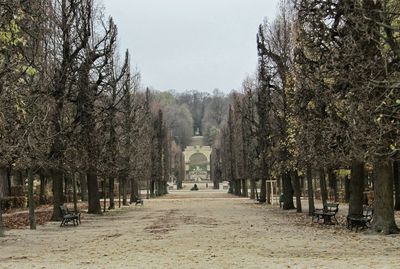 Footpath amidst trees against clear sky