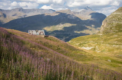 Alpine landscape in vanoise national park in summer in france
