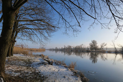 Scenic view of trees and lake against sky