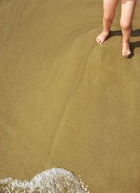 Low section of child standing on shore at beach