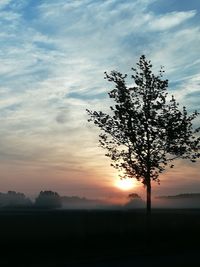 Silhouette tree on field against sky during sunset