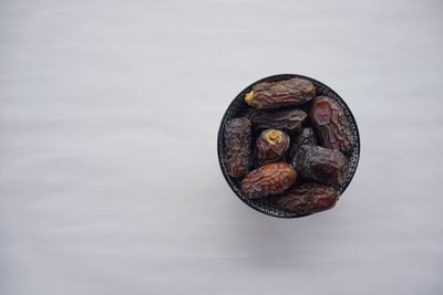 High angle view of shell against white background