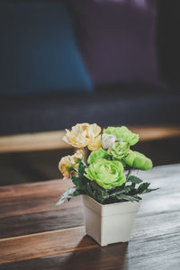 Close-up of rose plant on table