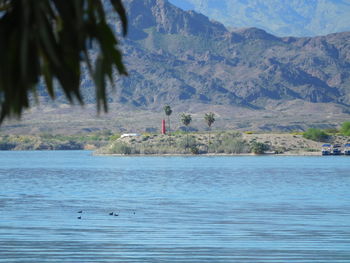 Scenic view of lake against trees