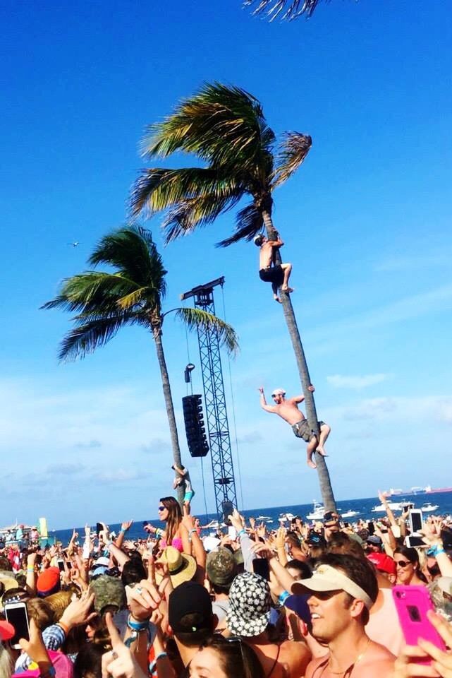 tree, palm tree, large group of people, sky, men, leisure activity, real people, outdoors, lifestyles, nature, clear sky, women, beauty in nature, scenics, togetherness, day, people, adult, adults only