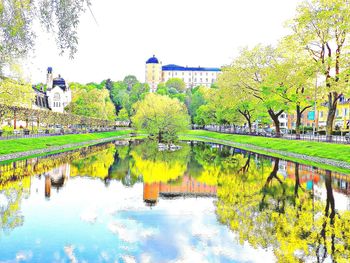 Reflection of trees in water