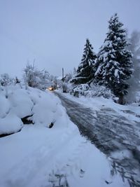 Snow covered field by trees against sky