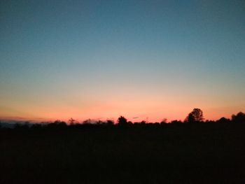 Silhouette trees on field against clear sky during sunset