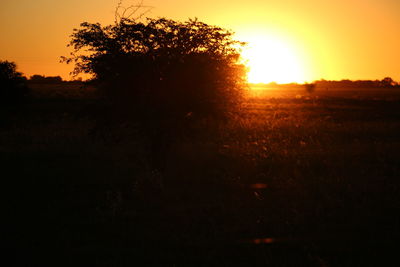 Silhouette trees on field against sky during sunset