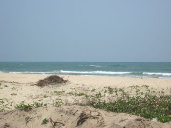 Scenic view of sea against clear sky