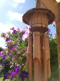 Low angle view of pink flowering plants against sky