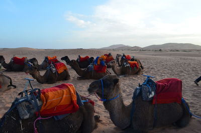 People relaxing in desert against sky