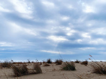 Scenic view of beach against sky