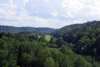 Scenic view of forest against sky