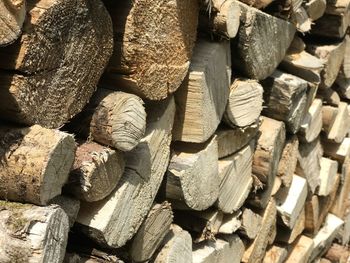 Full frame shot of logs in forest