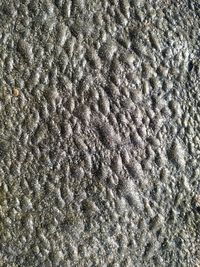 Full frame shot of patterned