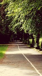 Empty road along trees