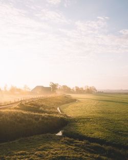 Scenic view of agricultural field against sky