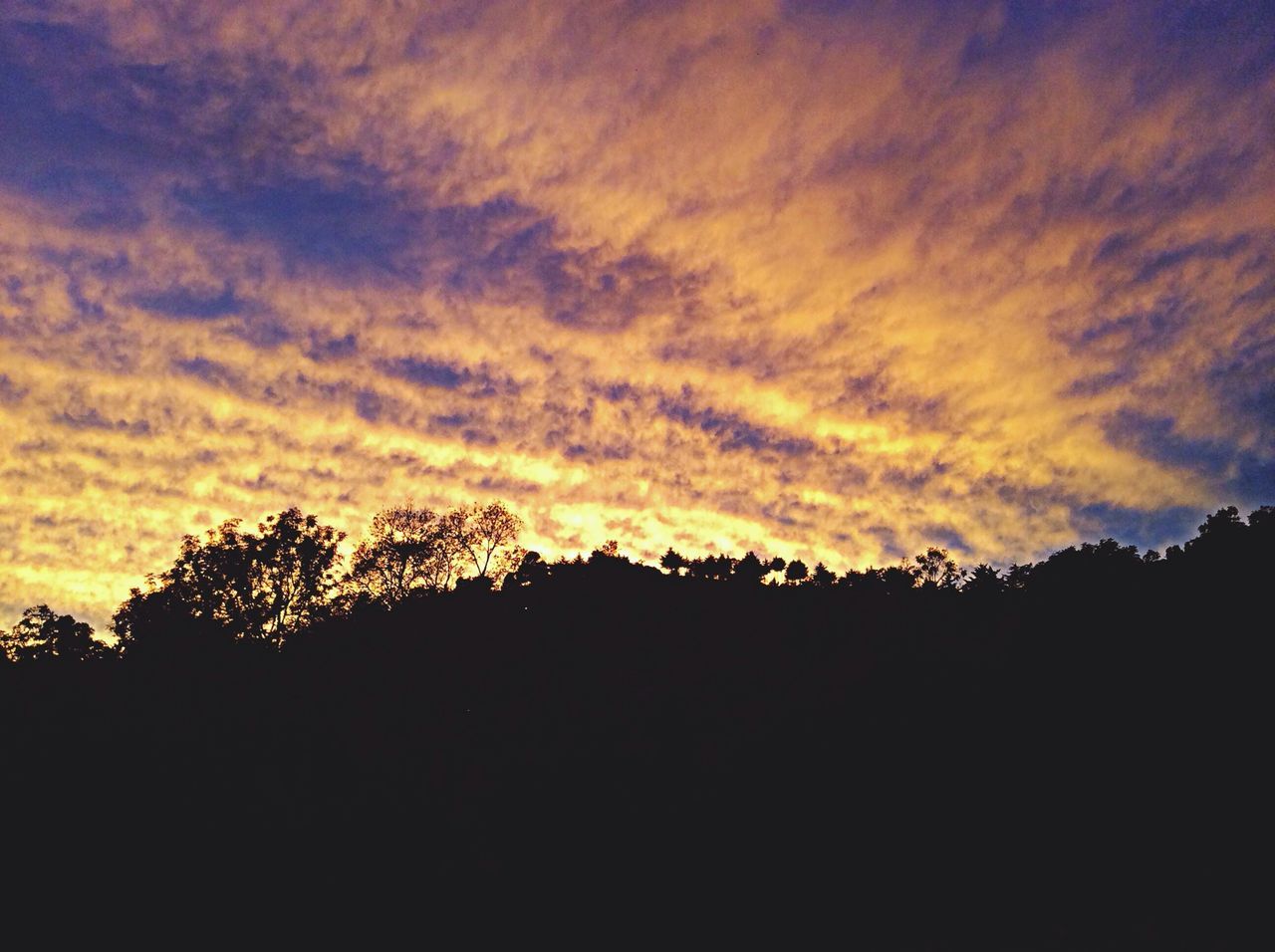 silhouette, sky, sunset, scenics, cloud - sky, tranquil scene, beauty in nature, tranquility, nature, cloudy, dramatic sky, landscape, cloud, idyllic, tree, orange color, dusk, dark, outdoors, low angle view