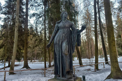 Trees in forest during winter