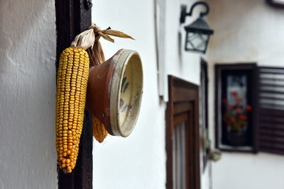 Ornamental rustic ceramic plate and corn hanging on a white wall