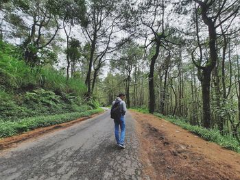 Rear view of woman walking on road amidst trees in forest