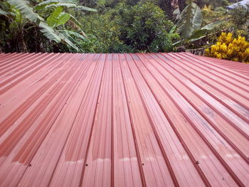 High angle view of pink roof amidst trees