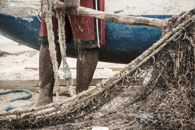 Fishermen taking the big net to the colony.