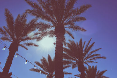 Low angle view of palm tree against sky
